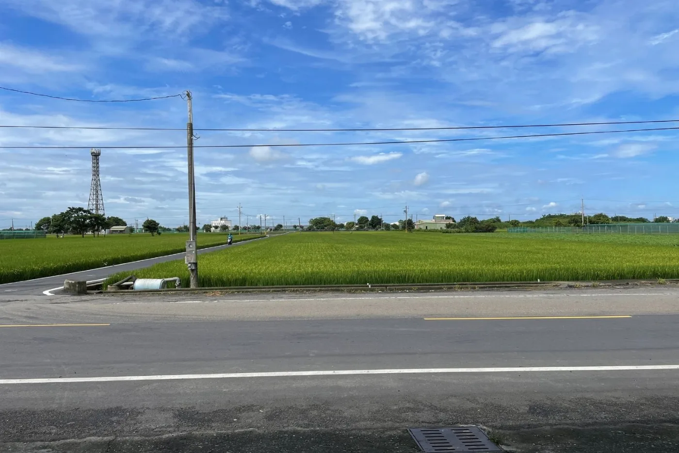雲林的田野